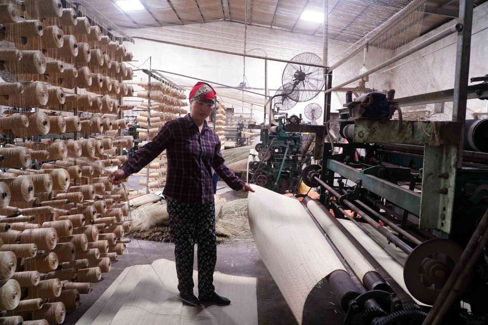 虽历经起伏变迁，草席编织业至今仍被完整传承，并在实践中不断焕发新活力。图自 越通社