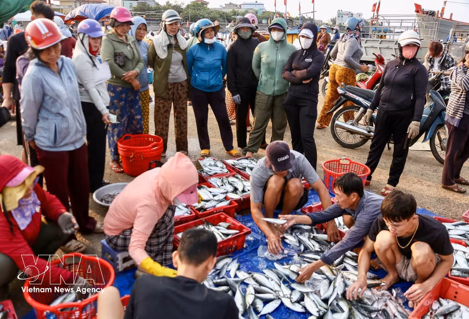 李山特区鱼市以新鲜丰富的海产品闻名，处处洋溢着传统海边集市热闹而多彩的独特风情。图片来源：越通社播发