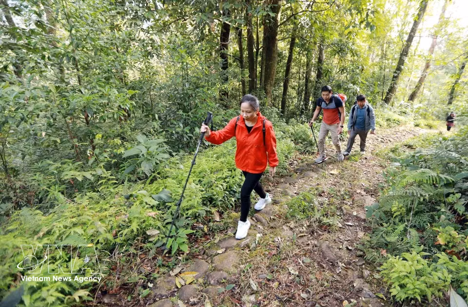 帕维古石道穿越原始森林，把莱州省与老街省的两个村落连接起来。图自 越通社