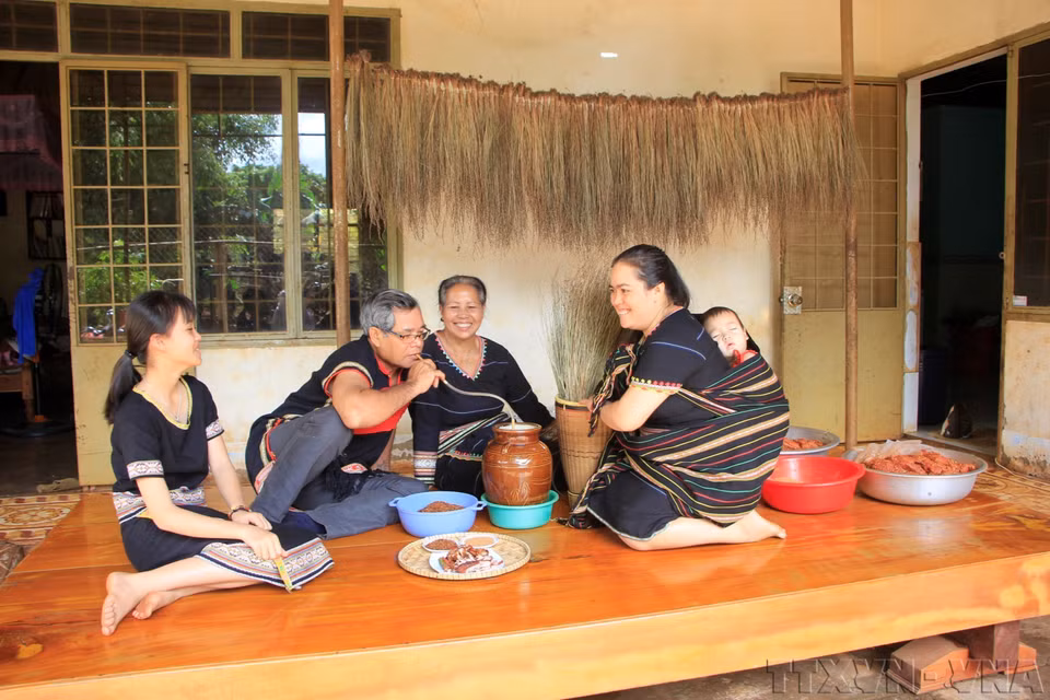 在西原高原，一户家庭围坐一堂，共享传统美食，围炉共饮香醇的竹管酒。图自 越通社