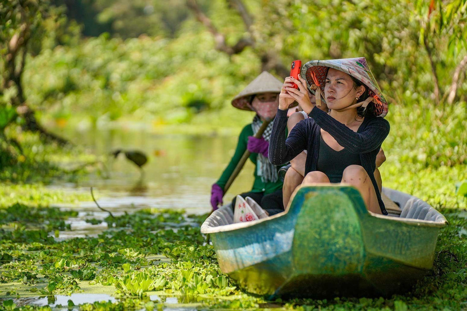 白千层树林以其诗情画意的自然景观和丰富的生物多样性吸引着众多游客。图自 越通社