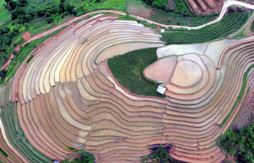 信横乡梯田位于海拔1500米以上的高山之上。图自 越通社