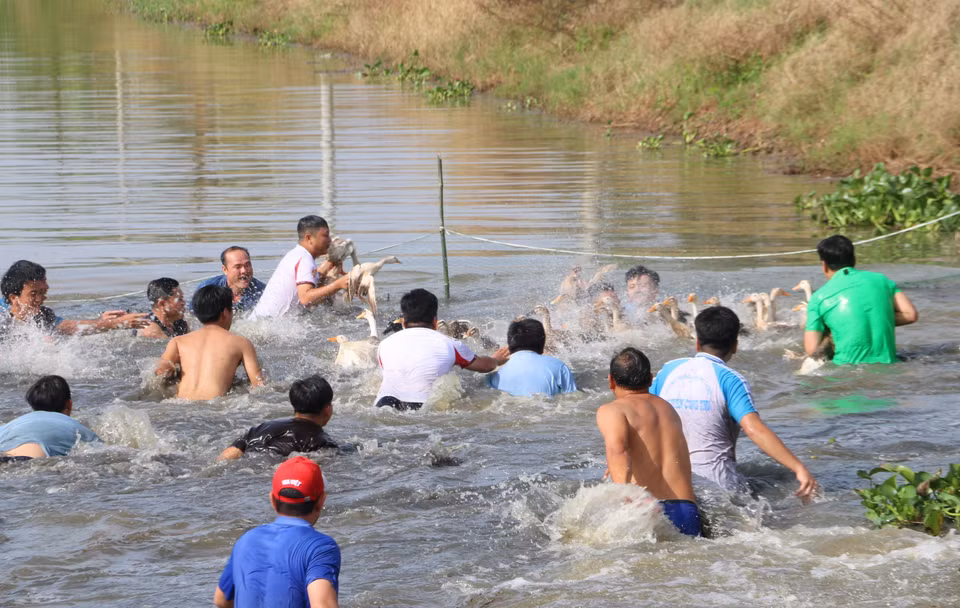 大量游客与居民共同参与水中捉鸭民间游戏，现场气氛热烈。图自 越通社