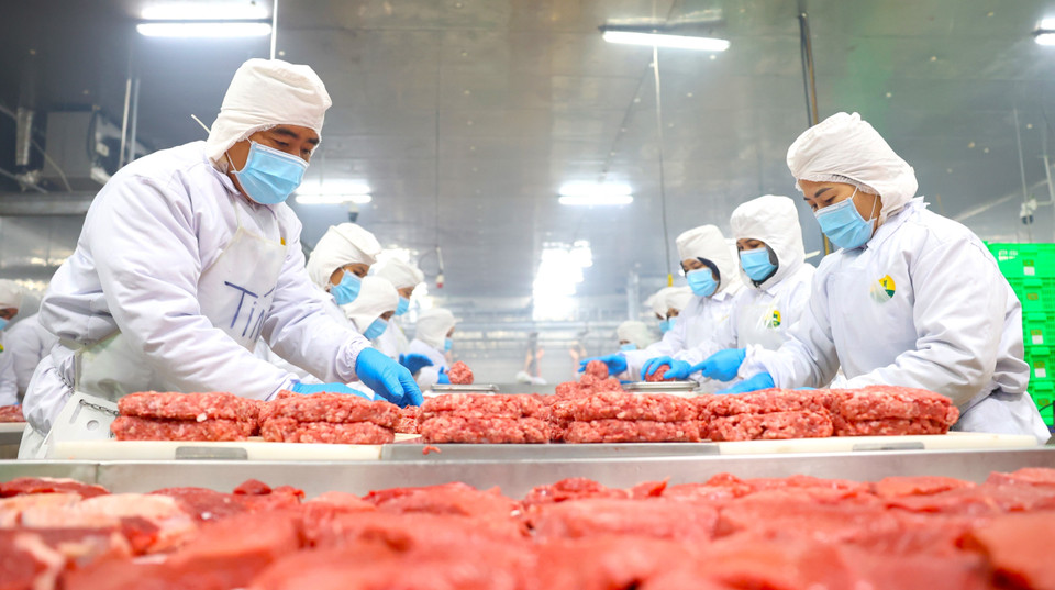 Pacow International 有限责任公司生产的牛肉因严格遵守卫生标准、屠宰工艺及供应链透明度要求，而在清真市场广受好评。图自 越通社