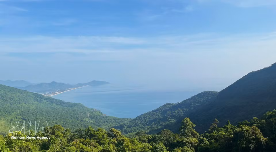 高出俯瞰的陵姑湾全景。图自 越通社