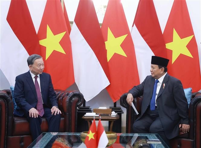 越共中央总书记苏林与印度尼西亚共和国总统、大印尼行动党总主席普拉博沃·苏比延多举行小范围会谈。图自 越通社