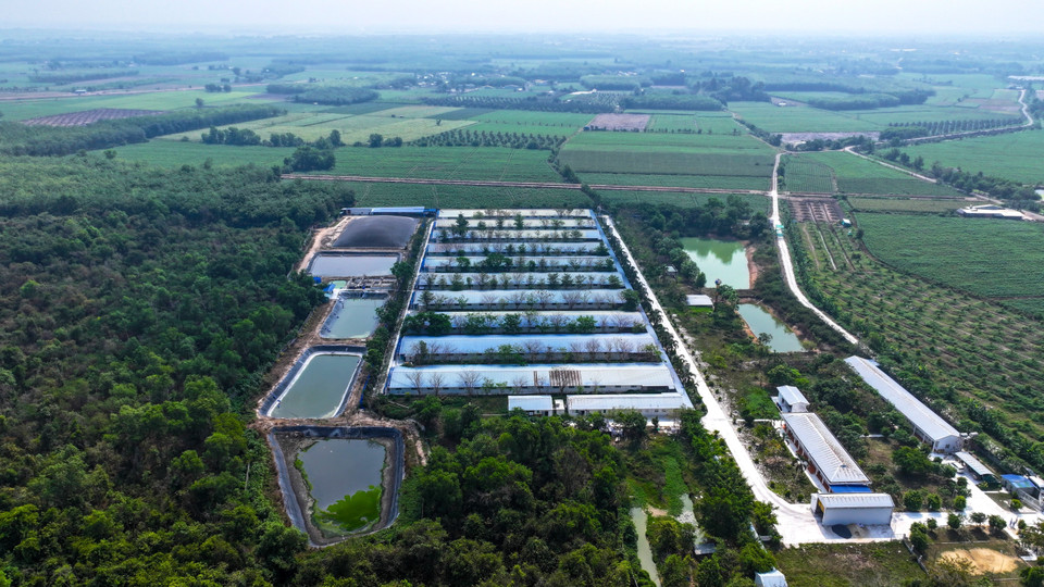 西宁的高科技养殖场在废弃物处理环节实行了科学化、规范化的设计与管理。图自 越通社