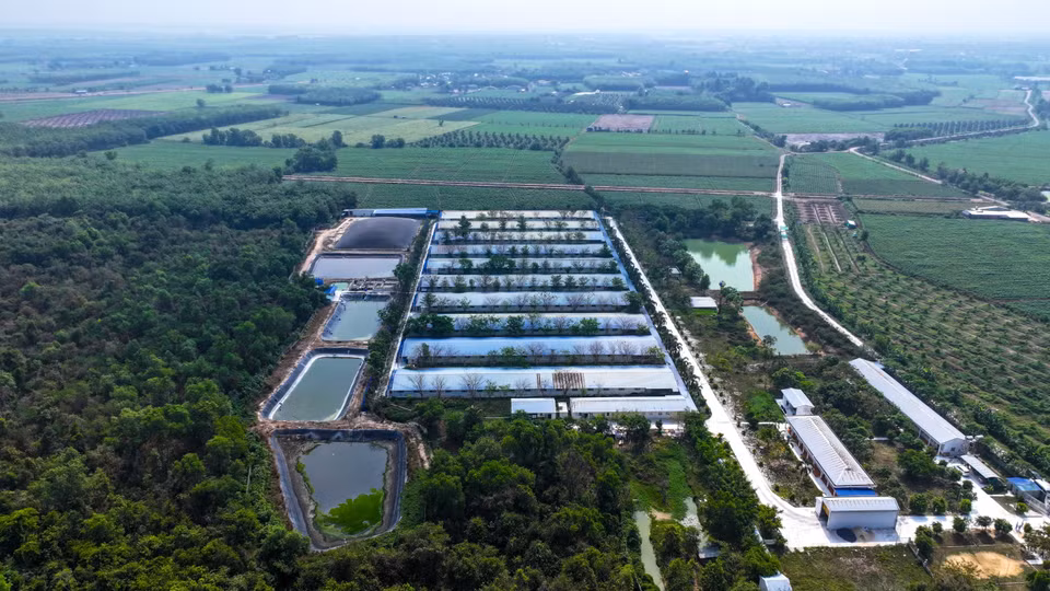 西宁的高科技养殖场在废弃物处理环节实行了科学化、规范化的设计与管理。图自 越通社