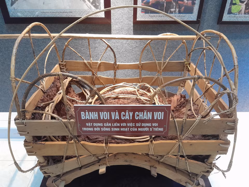 与斯丁族驯象生活密切相关的传统器具。图自 越通社