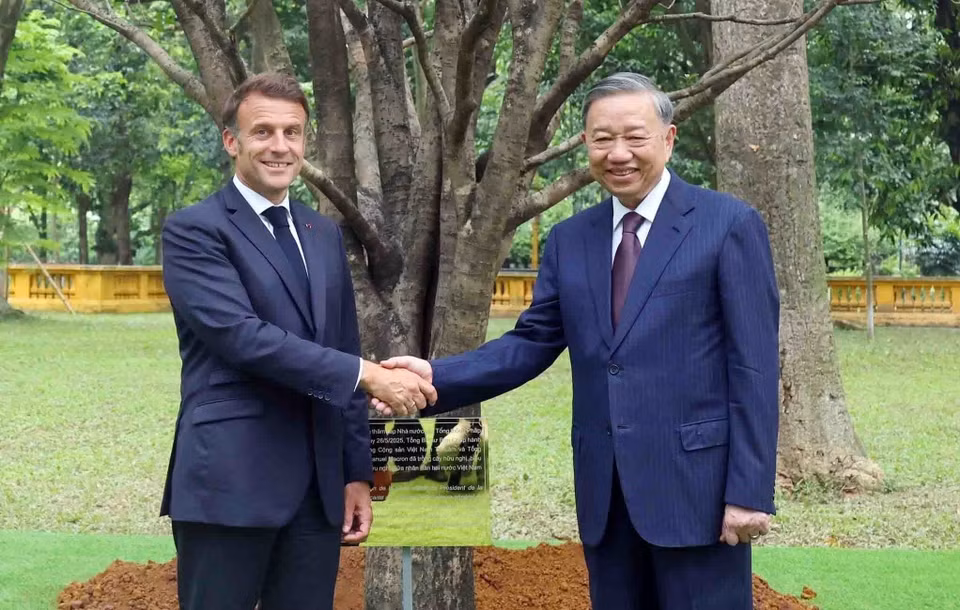 苏林总书记与法国总统埃马纽埃尔·马克龙在主席府胡志明主席遗迹区种下友谊树。图自 越通社