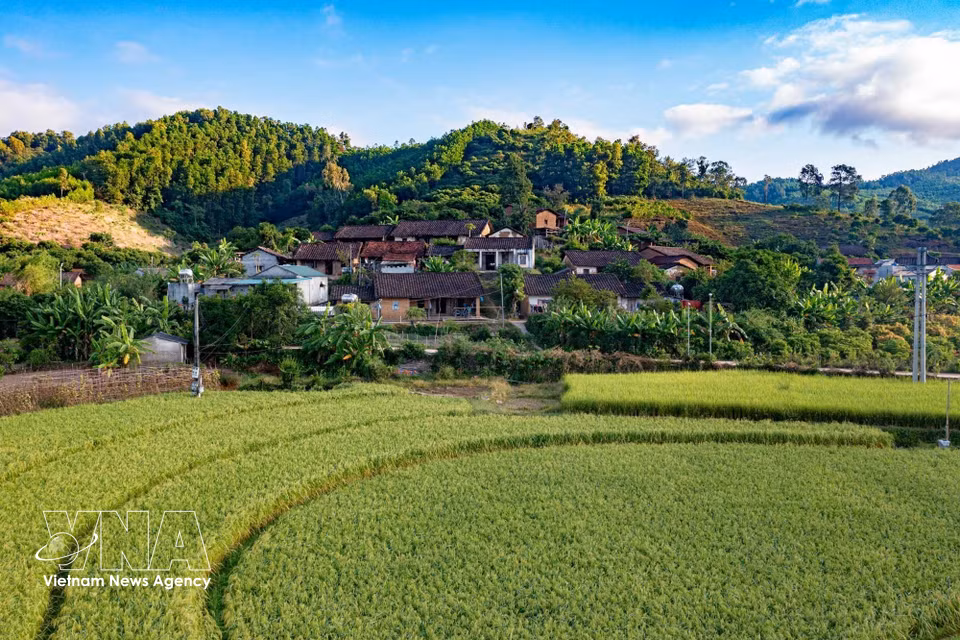 绵延于山脚下的稻田成为当地独具吸引力的生态景观，为发展体验式旅游增添亮点。图自 越通社