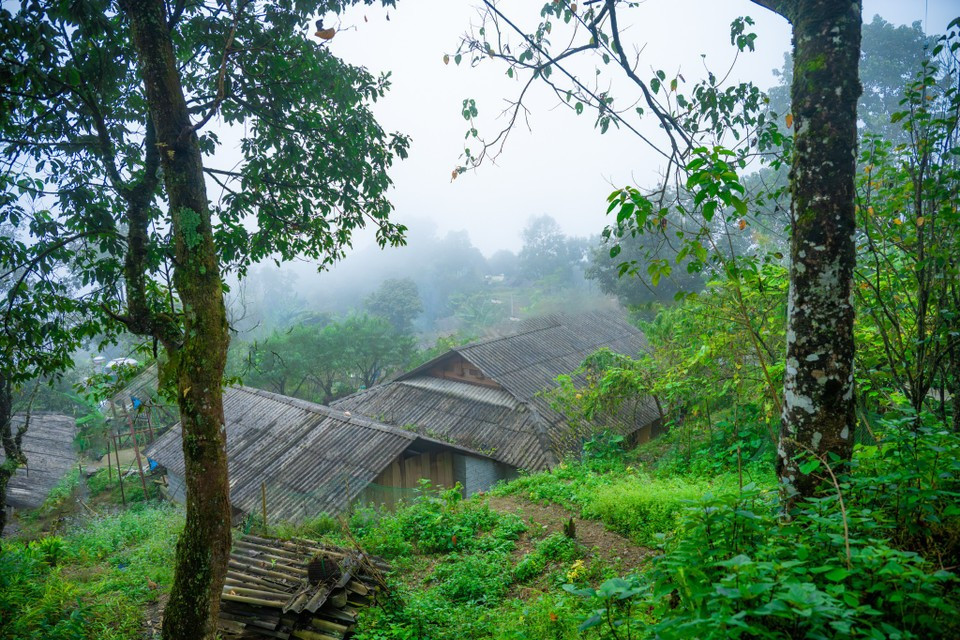 新水湖不仅被评为2025年越南最佳社区旅游景点，2023年在东南亚旅游论坛（ATF）中荣获第三届东盟社区旅游奖，2024年还被提名参与“世界最佳旅游村”评选。图自 越通社《Vietnam+》
