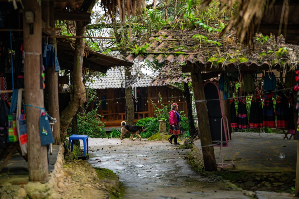 新水湖还被誉为“云中天堂”，拥有壮丽的爱情瀑布、心形瀑布，以及每逢稻谷成熟时金黄灿烂的梯田。图自 越通社《Vietnam+》