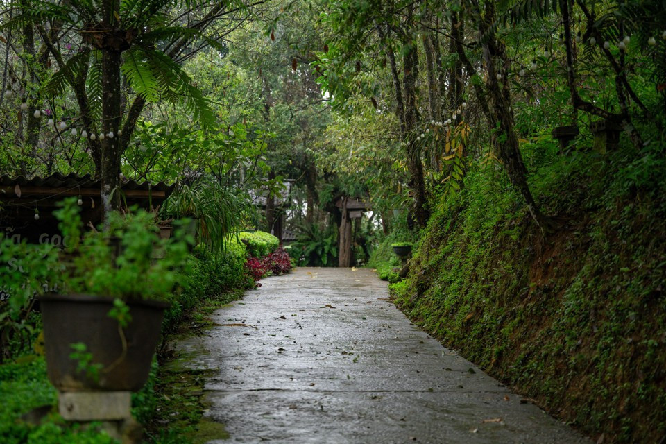 新水湖被评为2025年越南旅游奖五大最佳社区旅游点之一。图自 越通社《Vietnam+》