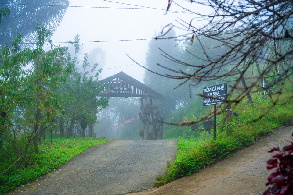 来到这里，游客可以尽情体验丰富多彩的活动，如登顶追云、探索赫蒙族同胞的生活。图自 越通社《Vietnam+》