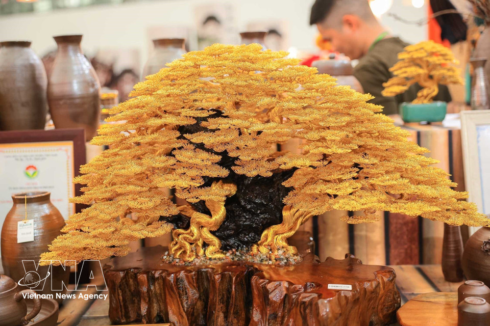 美术盆景作品《金枝玉叶》，由顺化艺人陈田田创作。图自 越通社