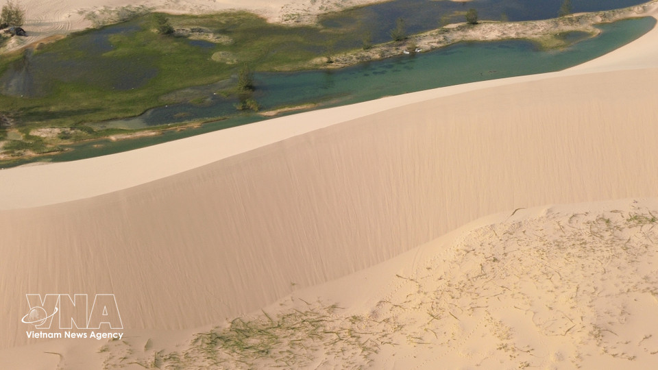 阵阵海风拂过，卷起细沙，塑造出层层起伏、宛如波浪般优美的沙丘线条。图自 越通社