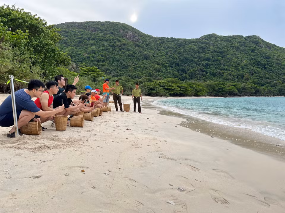 来到昆岛，游客将有机会体验独特的生态旅游线路，亲眼目睹海龟产卵，并参与将小海龟放归大海等活动。图自 越通社