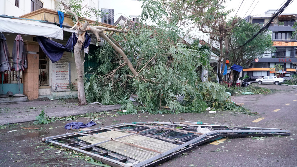 第13号台风袭击，嘉莱省多地受严重损失。图自 越通社
