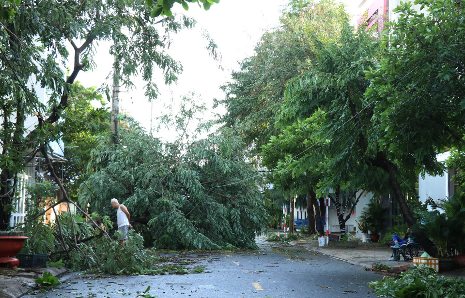 第13号台风袭击，得乐省多地受损。图自 越通社
