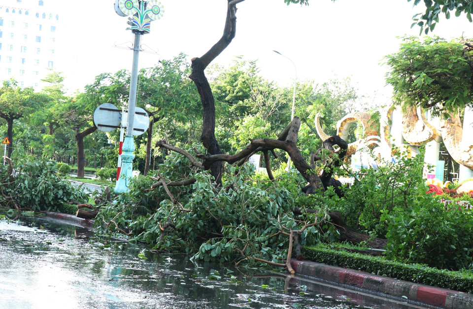 第13号台风袭击，得乐省多地受损。图自 越通社