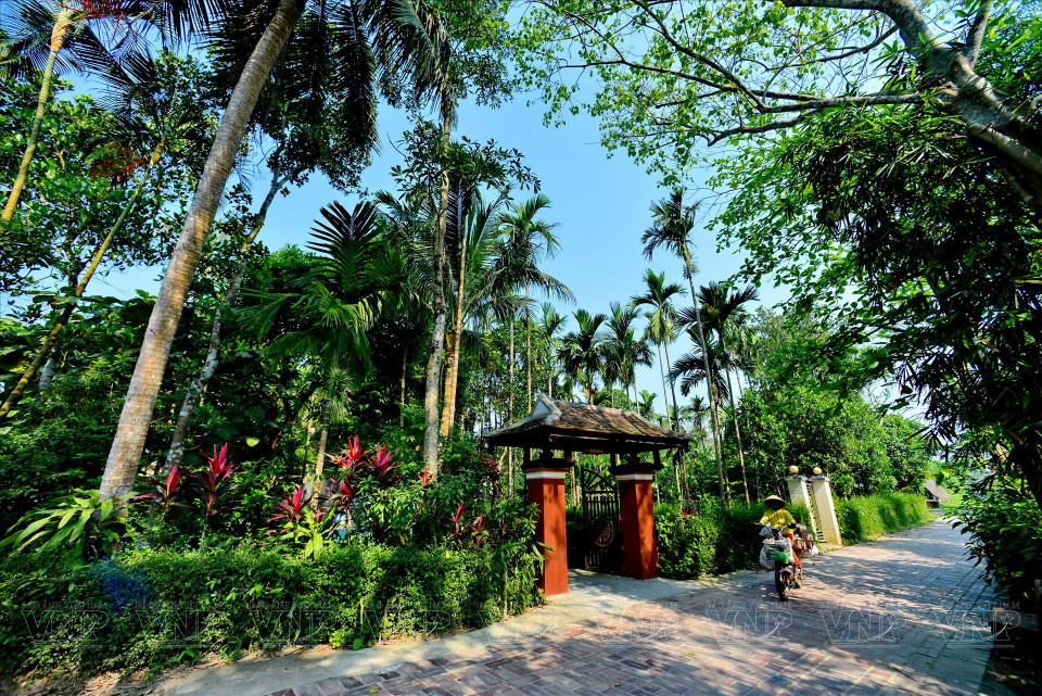 福迹古村的宁静安逸景象。图自 越通社《越南画报》