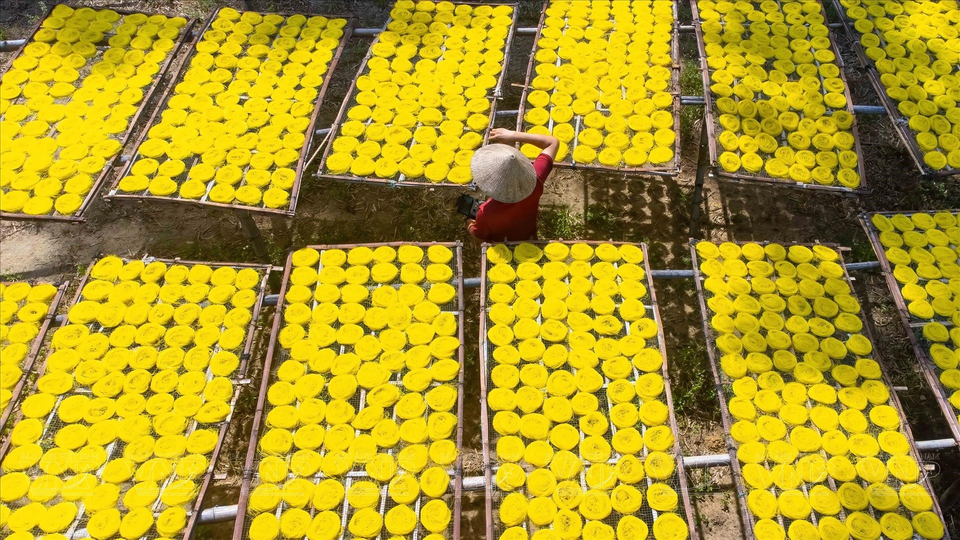 岘港市和旺县和进乡阳山以米粉制作技艺而远近闻名。图自 越通社《越南画报》