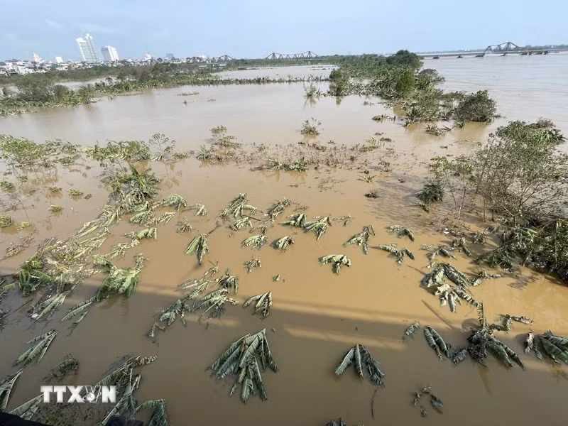 红河水位逐渐下降。图自 越通社