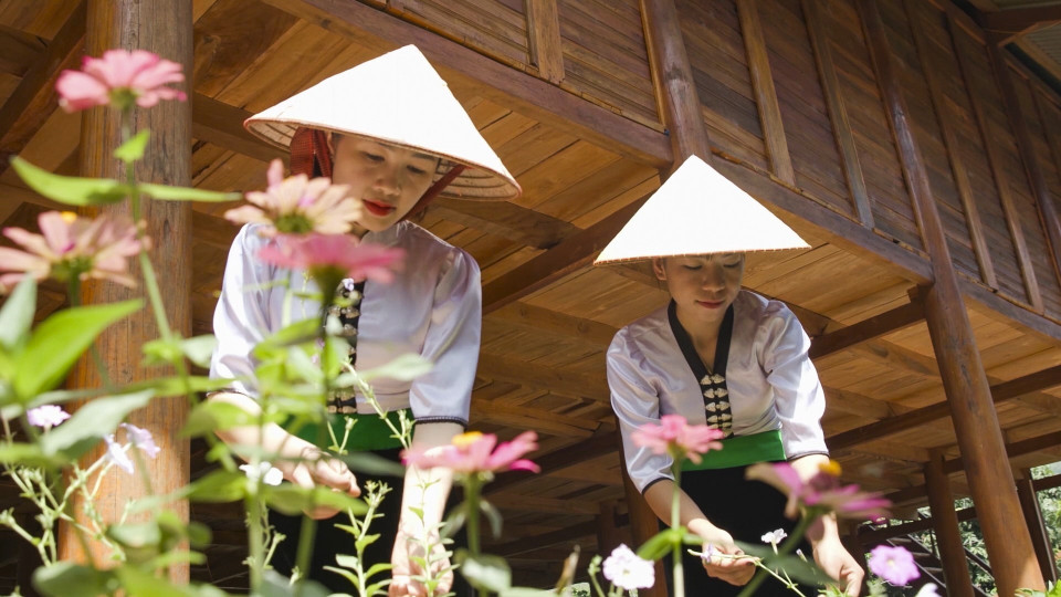 白傣族妇女浇花，打造拿麆村社区旅游环境景观。图自越通社
