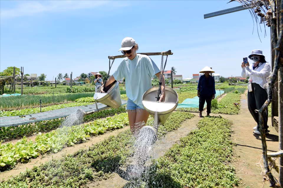 对于外国游客来说，平衡扁担两端摇摇欲坠的水桶，既是一项艰难的挑战，又充满了趣味。图自 越通社《越南画报》