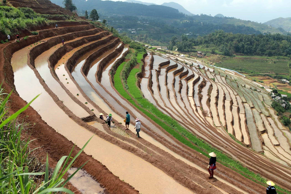 当地居民争取注水季节及时播种庄稼。图自越通社