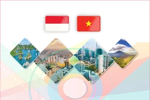 建交70周年：越南-印度尼西亚全面战略伙伴关系