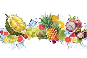 2025年南方水果节精彩纷呈
