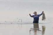 游客和当地居民下田涉水、撒网捕鱼，体验涨水期文化节特有的生活方式。图自 越通社