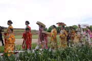 2026顺化“百花巡游” 精彩上演 展现越南传统服饰魅力