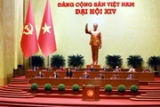 越共第十四次全国代表大会：大会就大会文件进行讨论