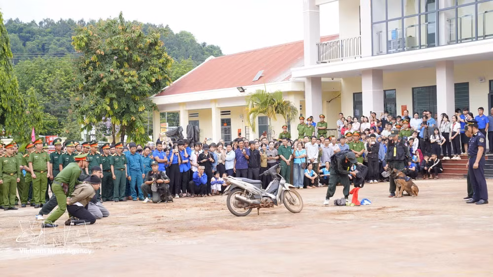 vnanet-vna-potal-gia-lai-ra-quan-cao-diem-tan-cong-tran-ap-toi-pham-ma-tuy-tren-tuyen-bien-gioi-viet-nam-campuchia-8827063.jpg