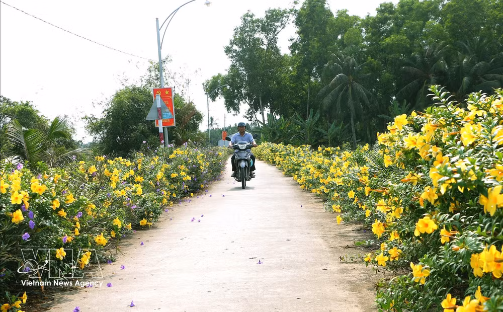 vnanet-potal-xuan-ve-tren-mien-que-nong-thon-moi-soc-trang-7830117.jpg