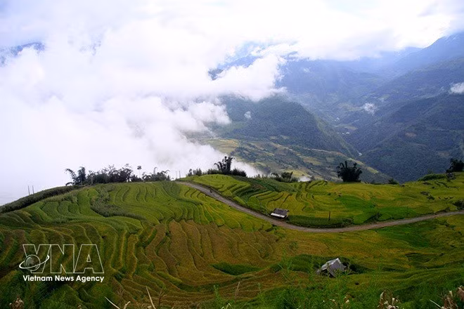 vnanet-phu4.jpg