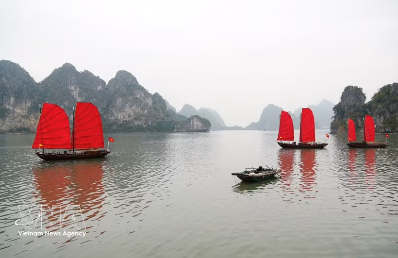 potal-quang-ninh-xuat-hien-3-chiec-thuyen-buom-do-tren-vinh-ha-long-8589304.jpg