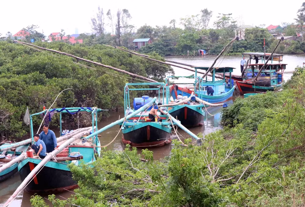vna-potal-ha-tinh-tau-thuyen-vao-noi-tranh-tru-bao-so-10-8299588.jpg