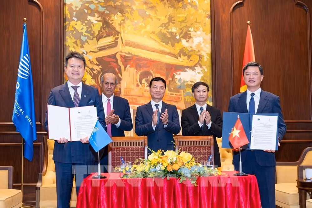 135340-tong-giam-doc-to-chuc-so-huu-tri-tue-the-gioi-wipo-lam-viec-tai-viet-nam.jpg