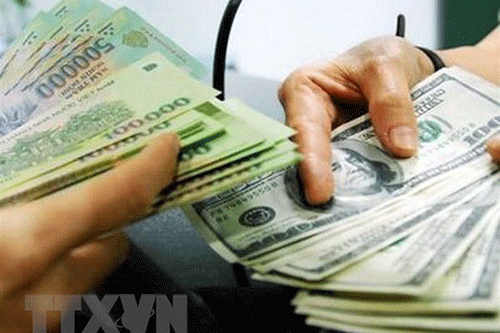 10月9日越盾对美元汇率中间价下调1越盾 ảnh 1