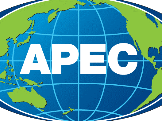 APEC 2017：展现一个活跃创新且积极融入国际社会的越南 ảnh 1