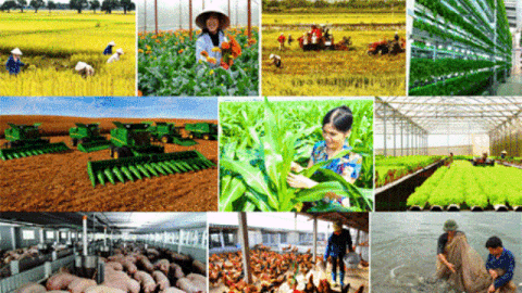 到2025年新成立集体经济组织可达1万个 ảnh 1