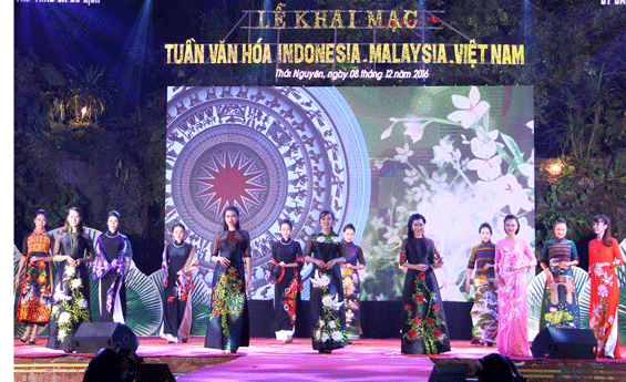 越马印尼文化周在越南太原省拉开序幕 ảnh 1