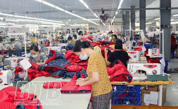 太平省努力实现经济发展与疫情防控的双重目标 ảnh 2 太平省努力实现经济发展与疫情防控的双重目标 ảnh 2