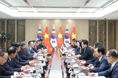 越共中央总书记苏林与韩国总统李在明举行会谈
