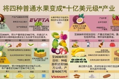 将四种普通水果变成“十亿美元级”产业