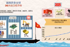 越南跻身全球30大出口经济体